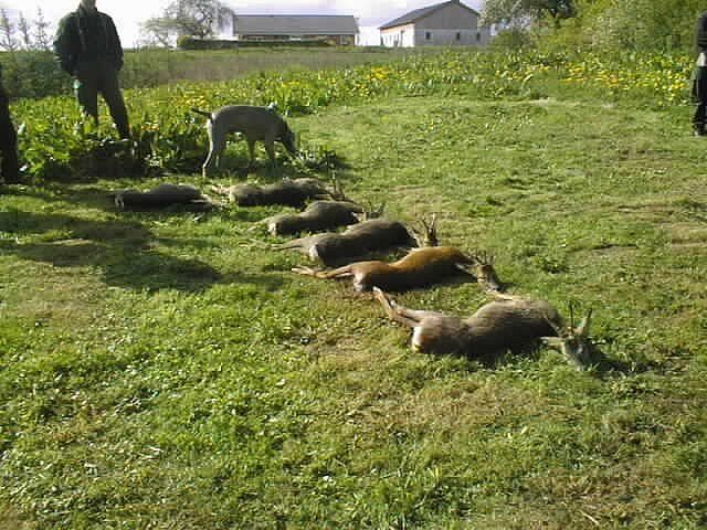 Ren Toft Her er vores udbytte D.16 maj om morgenen. 